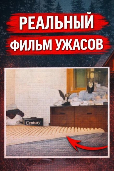 Восемь лет без ответа - Слушаем Лучшие Аудиокниги в Онлайн Библиотеке Бесплатно